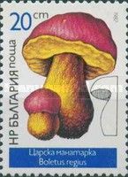 Boletus regius