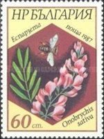 Onobrychis sativa