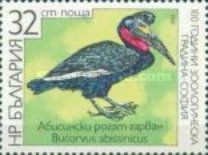 Abyssinean Ground Hornbill (Bucorvus abyssinicus)