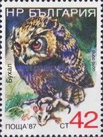 Eurasian Eagle-Owl (Bubo bubo)