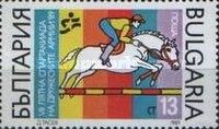Show jumping
