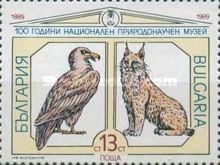 Bearded Vulture (Gypaetus barbatus), Eurasian Lynx (Lynx lyn