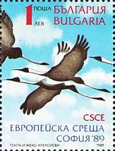 White-naped Crane (Grus vipio)