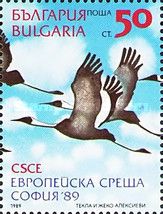 White-naped Crane (Grus vipio)