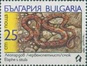 European Ratsnake (Elaphe situla)