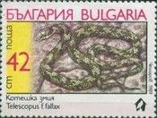 European Cat Snake (Telescopus fallax)