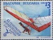 Hang glider