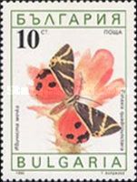 Jersey Tiger (Panaxia quadripunctaria)