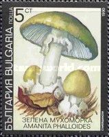 Death cap (Amanita phalloides)