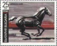 Arabian Horse (Equus ferus caballus)
