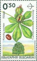 Endemic trees in Bulgaria - Aesculus hippocastanum