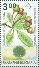 Endemic trees in Bulgaria - Pyrus bulgarica