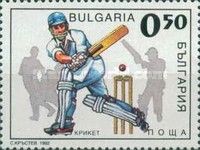 Cricket