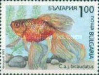Goldfish (Carassius auratus bicaudatus)