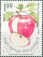 Apple (Malus domestica)