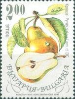 Pear (Pyrus sativa)