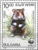 European Hamster (Cricetus cricetus)