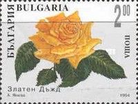 Decorative roses