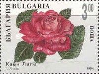 Decorative roses