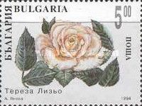 Decorative roses