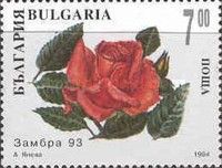 Decorative roses