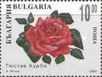 Decorative roses