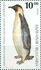 Emperor Penguin (Aptenodytes forsteri)