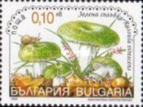 Green-cracking Russula (Russula virescens)