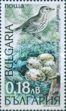 Mistle Thrush (Turdus viscivorus)