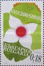 Blossom in Japanese National Colors