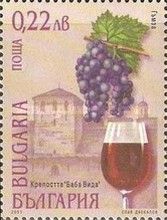 Gamza, Castle Baba Vida