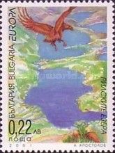 Golden Eagle (Aquila chrysaetos), Lakes in the Rila Mountain