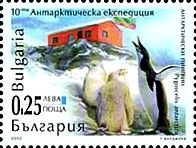 Chinstrap Penguin (Pygoscelis antarctica) in front the Base 