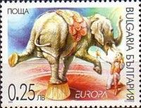 Asian Elephant (Elephas maximus)
