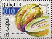 Muskmelon (Cucumis melo)