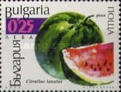 Watermelon (Citrullus lanatus)