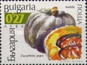 Pumpkin (Cucurbita pepo)