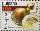 Bottle Gourd (Lagenaria siceraria)