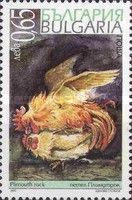 Plymouth Rock Chicken (Gallus gallus domesticus)