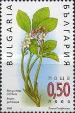 Buckbean (Menyanthes trifoliata)