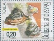 Fomes fomentarius