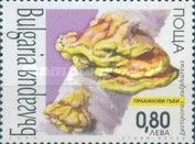 Laetiporus sulfureus