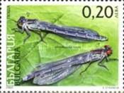 Red-eyed Damselfly (Erythromma najas)