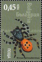 Red Tube Spider (Eresus cinnaberinus)