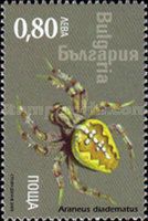 European Garden Spider (Araneus diadematus)