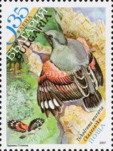 Wallcreeper (Tichodroma muraria)