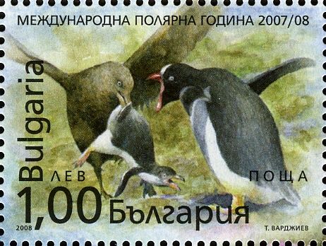 South Polar Skua (Stercorarius maccormicki), Gentoo Penguin
