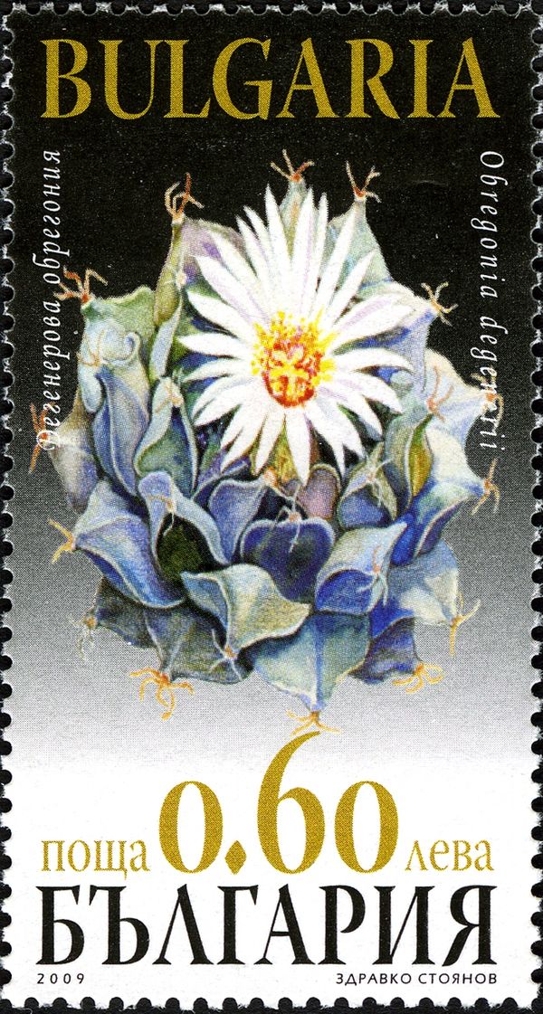 No. 4902A Imperforatwed
