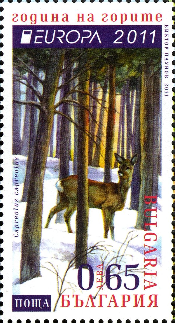 Western Roe Deer (Capreolus capreolus)