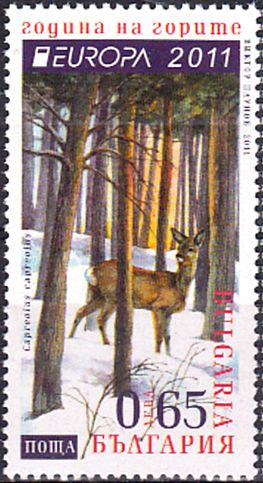 Western Roe Deer (Capreolus capreolus)